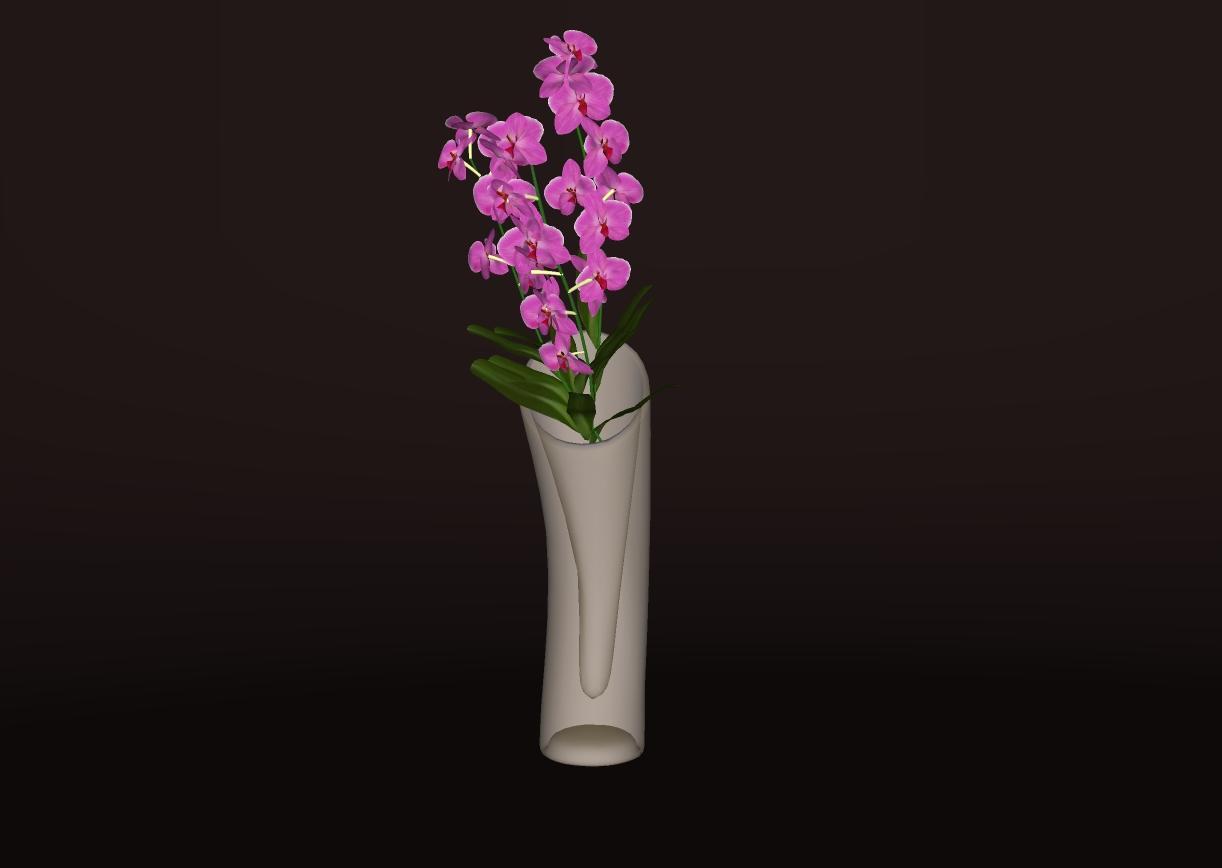 精细兰花模型-sketchup模型库(SKP)-ARC设计中文网 - Powered by Discuz!