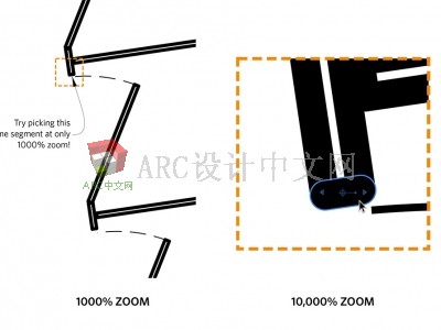 More-Zoom_1000px5.jpg