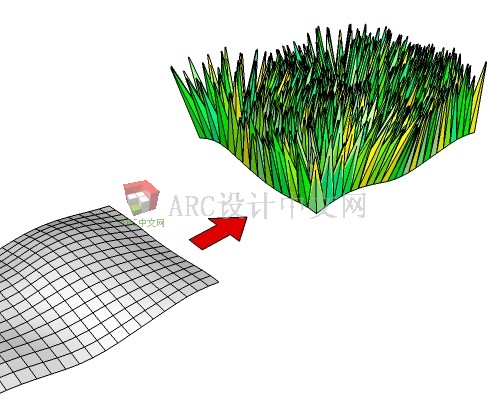 grass.jpg