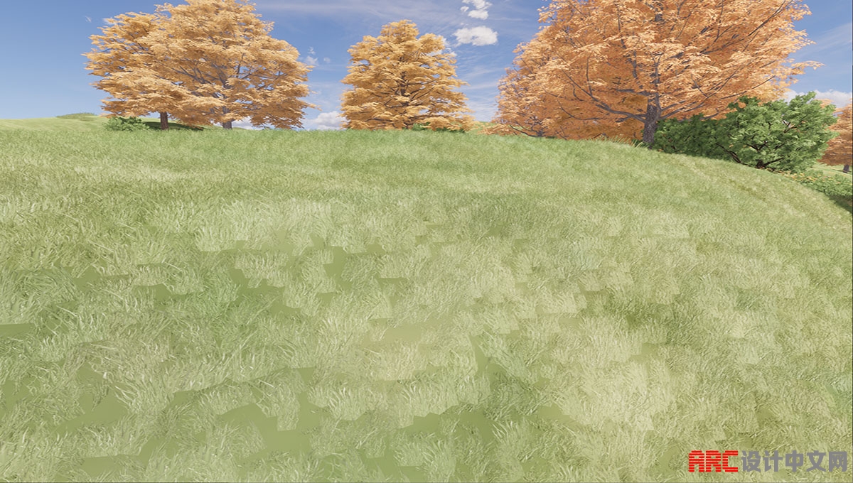 grassSlope_BEFORE .jpg
